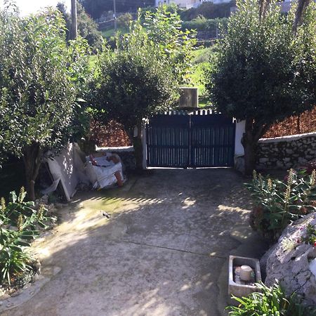 Vila Casa Jardin Rocablanca Llanes Celorio  Exteriér fotografie