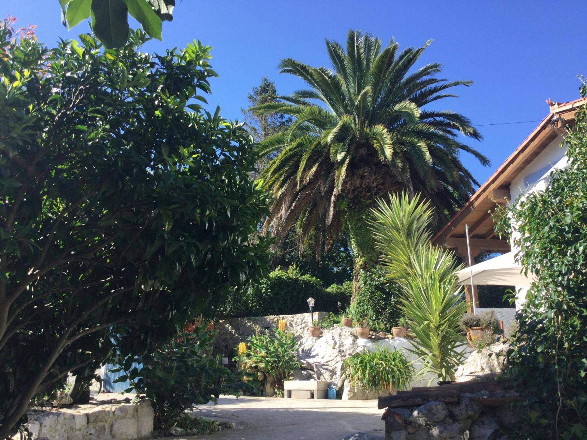 Vila Casa Jardin Rocablanca Llanes Celorio  Exteriér fotografie