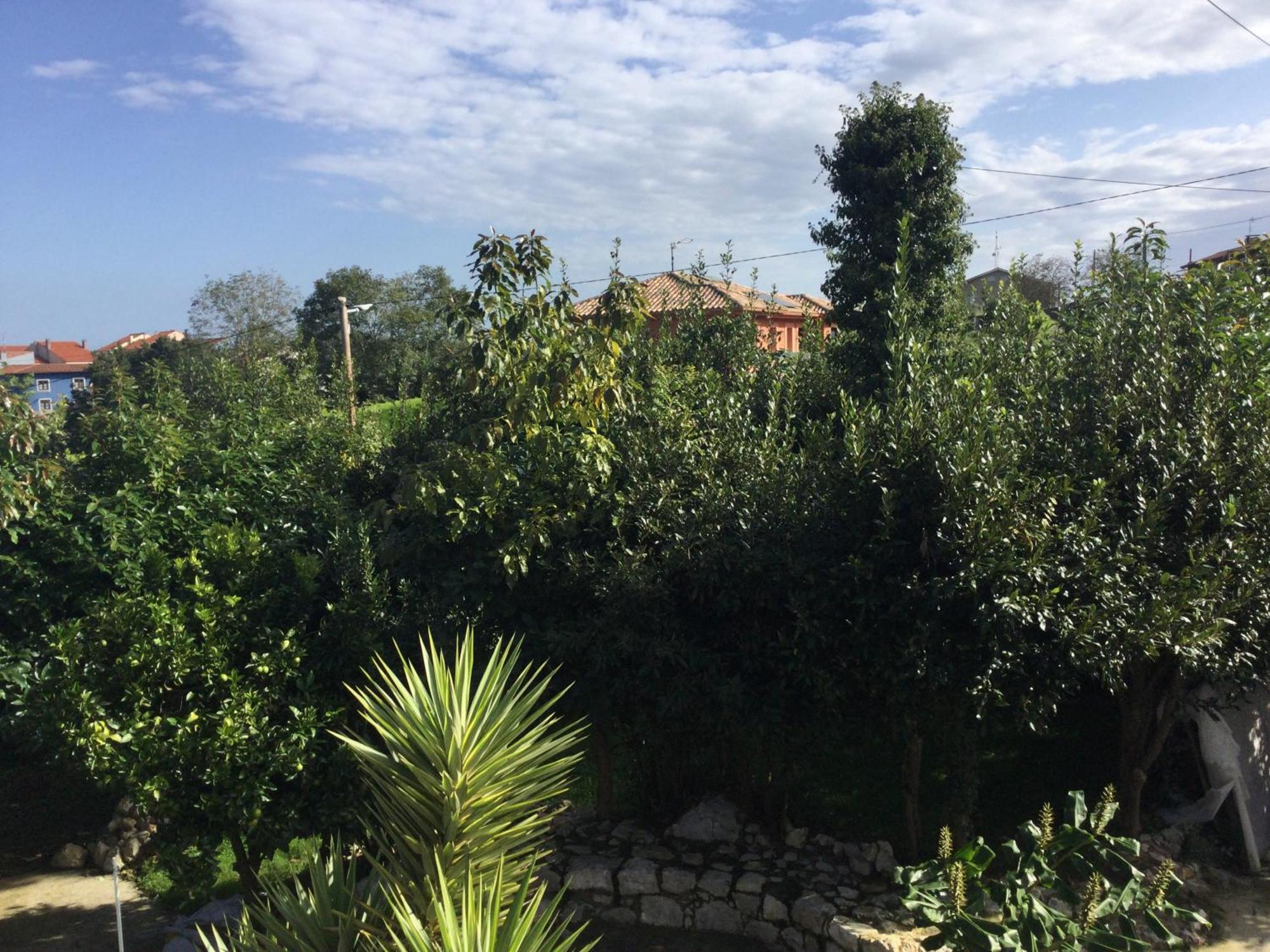 Vila Casa Jardin Rocablanca Llanes Celorio  Exteriér fotografie